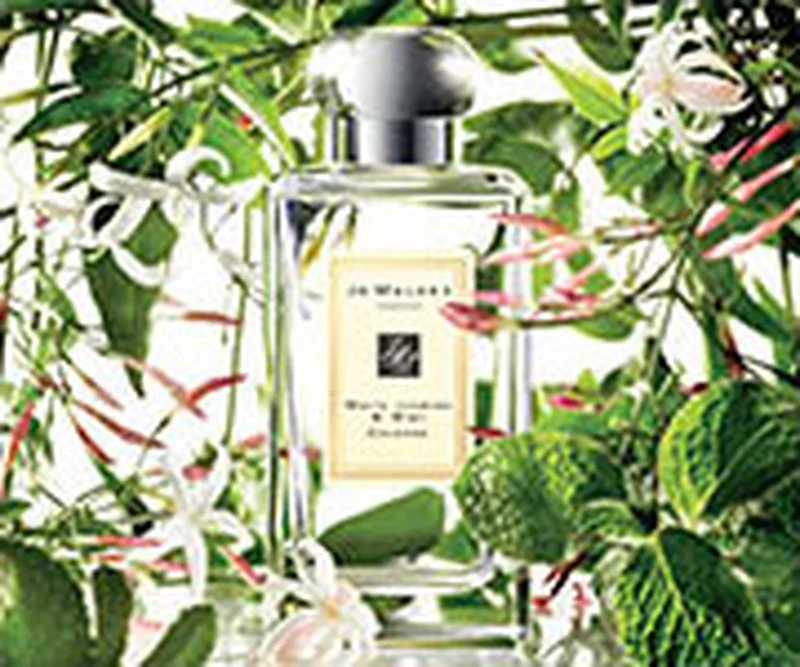 Jo Malonne 香水 JO MALONE祖·瑪瓏香水(藍風鈴香型)30ml-中性-祖玛珑-JO MALONE