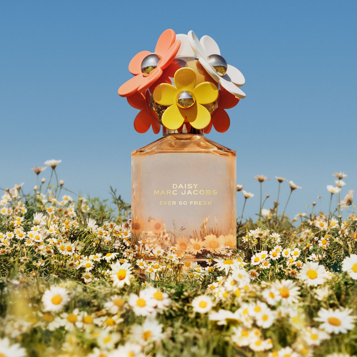 香水(女性用) MARC JACOBS DAISY Eau So Fresh Glow 75ml Amazon | MARC JACOBS(マークジェイコブス) デイジー オーソー